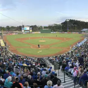 Myrtle Beach Pelicans Photo 3
