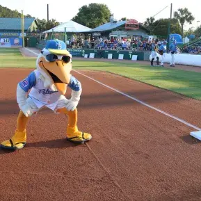 Myrtle Beach Pelicans Photo 2