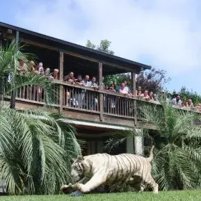 Myrtle Beach Safari Photo