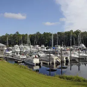 Osprey Marina, LLC Photo