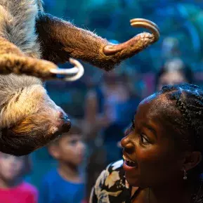 Ripley's Aquarium of Myrtle Beach Photo