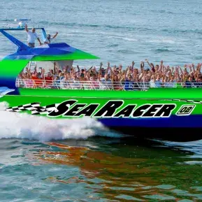 Sea Racer Dolphin Tours Photo