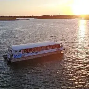 Sunset and Sea Life Photo