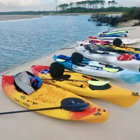 Kokopelli Surf Camp Paddleboard Kayak Tours and Rentals Photo 6