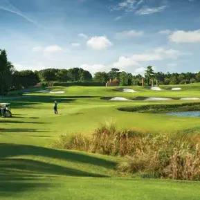 Barefoot Resort & Golf - Love Course Photo
