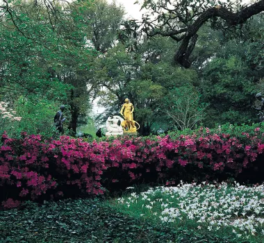 Brookgreen_Gardens_Spring_9d1e0c21-21e9-45d9-b51d-4be609ce1a1e.jpeg Brookgreen Gardens in the Spring