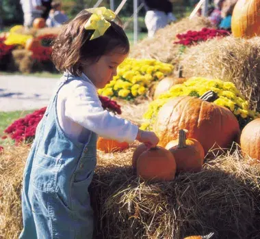 Brookgreen Harvest Festival