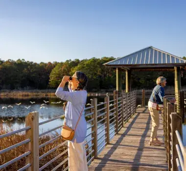 Bird Watching at Huntington Beach State Park