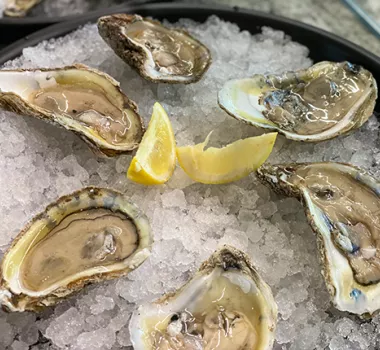 Oysters on the half shell on ice with lemon slices
