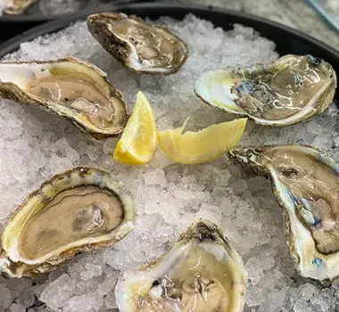 Oysters at Clearwater Oyster Bar