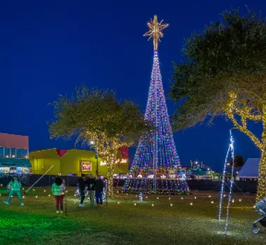 tree lighting