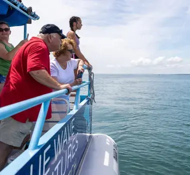 Blue Dolphin Adventure Tour Group