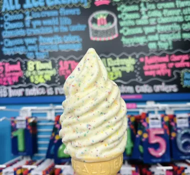 meyers ice cream ice cream cone