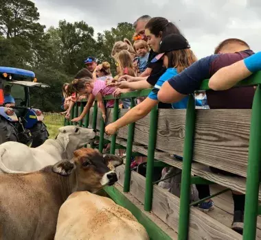 Thompson Farm Conway