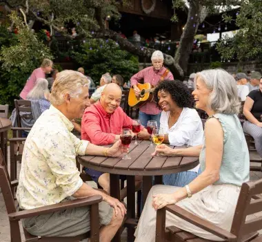 Duplin Winery Live Music Barefoot Landing