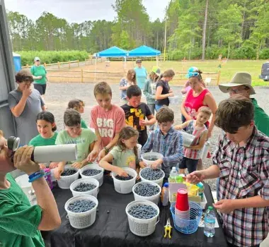 Bonnie Bay Blueberry Farm in Loris