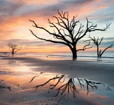 edisto beach state park