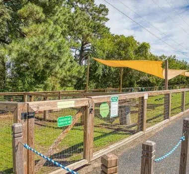 Tidal Creek Brewhouse Dog Park