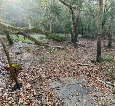 Waccamaw River Park Disc Golf Course