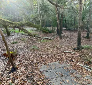 Waccamaw River Park Disc Golf Course