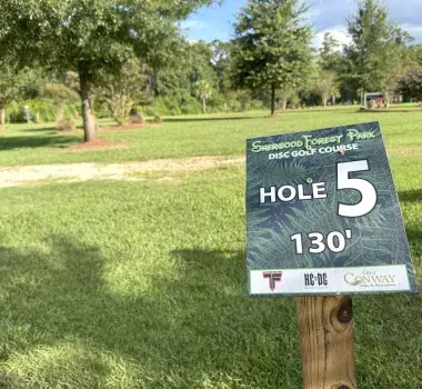 Sherwood Forest Conway Disc Golf