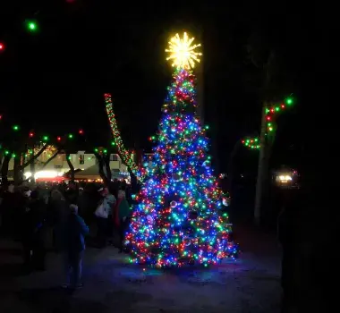 Surfside Beach Tree Lighting
