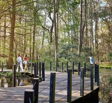 Brookgreen Gardens Lowcountry Zoo Birds
