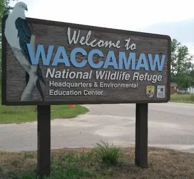 Waccamaw Wildlife Refuge