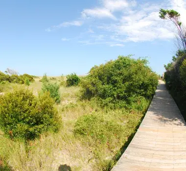 Boardwalk in Huntington Beach State Park
