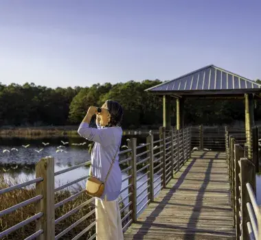 Huntington Beach State Park Widlife