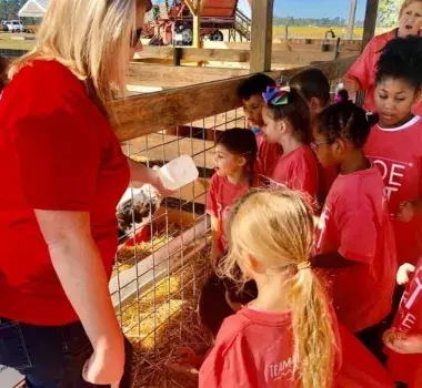 Southern Palmetto Farms Aynor