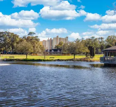 Wide shot of McLean park on a sunny day.