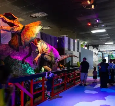 Interactive Experience Unleashed