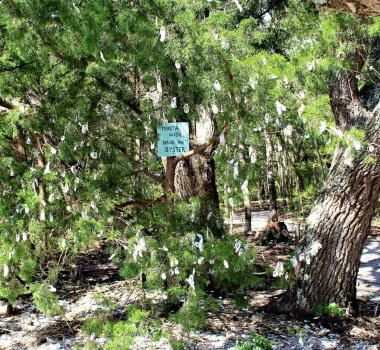 Wishing Tree at Vereen Gardens