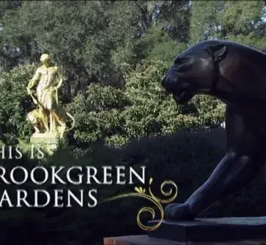 This is Brookgreen Gardens Photo