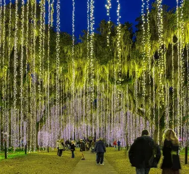 Nights of A Thousand Candles - Brookgreen Gardens Photo 6