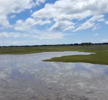 Hobcaw Barony Photo 2