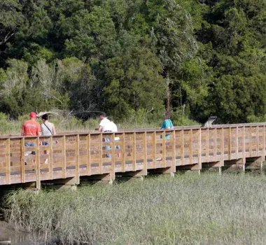 Huntington Beach State Park Photo 3