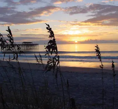 Myrtle Beach State Park Photo