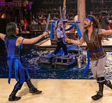 Pirates Voyage Dinner &amp; Show Photo