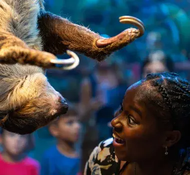 Ripley's Aquarium of Myrtle Beach Photo