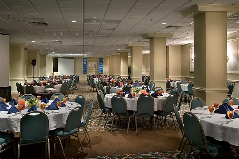 Large Banquet