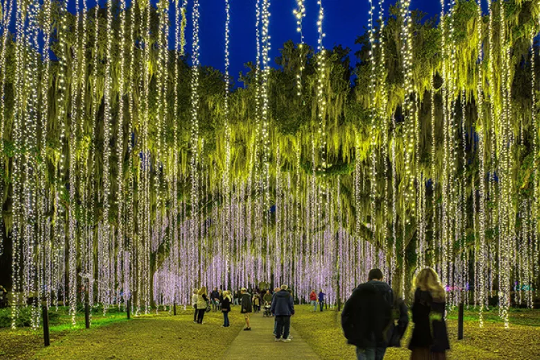 Nights of a Thousand Candles hanging lights