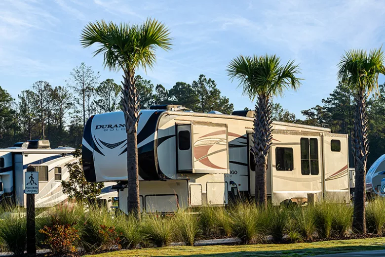 Sun Country RV parked on site with palm trees