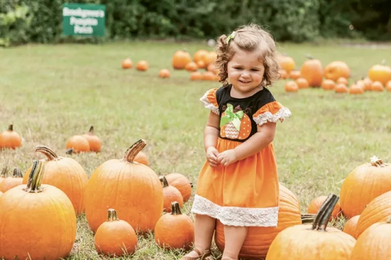 pumpkin