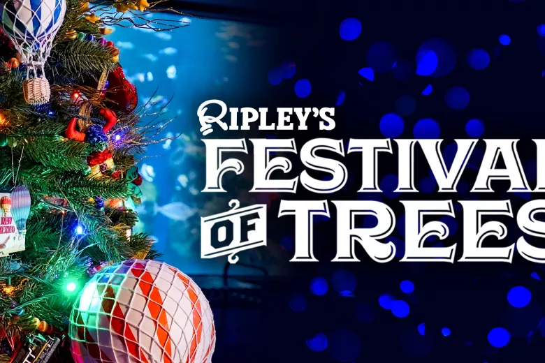 ripleys festival of trees