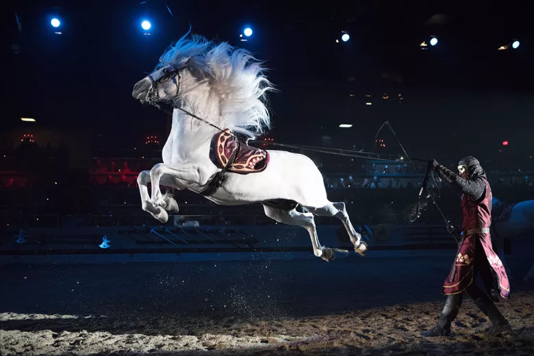 Medieval Times white horse jumping