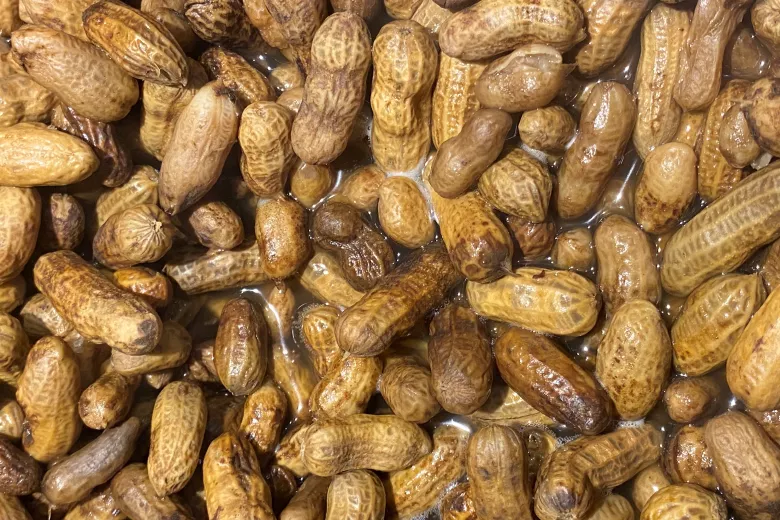 Peanut Boil at the L.W. Paul Living History Museum