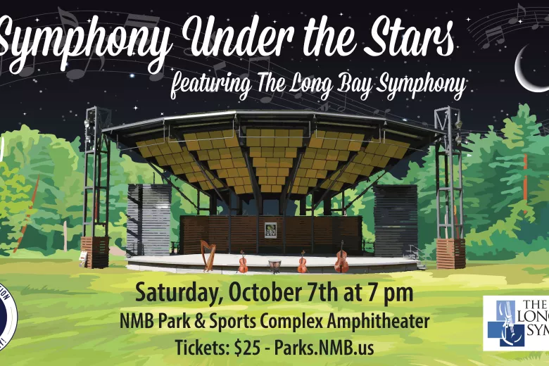 symphony under the stars poster