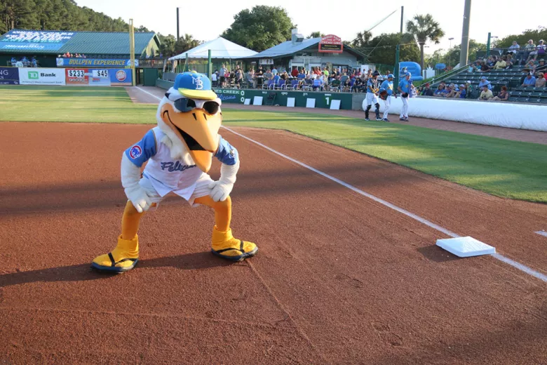 Pelicans Mascot Splash